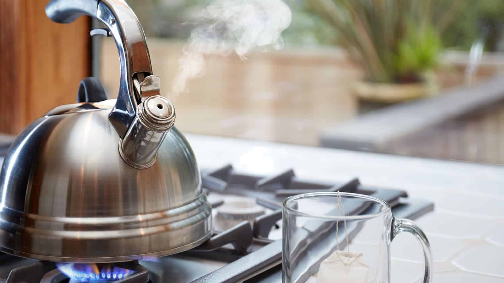 Best Non-Toxic Tea Kettles for a Healthier Brew